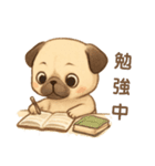 パクっとパグちゃん（個別スタンプ：14）
