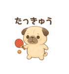 パクっとパグちゃん（個別スタンプ：19）