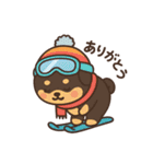 豆柴！冬スポ（個別スタンプ：1）