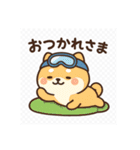 豆柴！冬スポ（個別スタンプ：3）