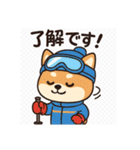豆柴！冬スポ（個別スタンプ：6）