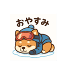 豆柴！冬スポ（個別スタンプ：11）