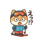 豆柴！冬スポ（個別スタンプ：12）