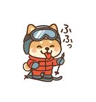 豆柴！冬スポ（個別スタンプ：13）