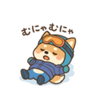 豆柴！冬スポ（個別スタンプ：15）