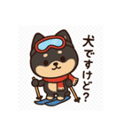 豆柴！冬スポ（個別スタンプ：16）