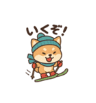 豆柴！冬スポ（個別スタンプ：21）
