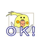オカメインコさんの良い返事編（個別スタンプ：1）