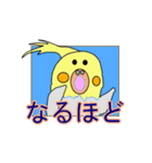 オカメインコさんの良い返事編（個別スタンプ：9）