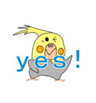 オカメインコさんの良い返事編（個別スタンプ：15）