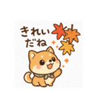豆柴の芸術よりも食欲の秋（個別スタンプ：17）