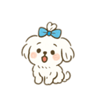 ちょんまげマルチーズ♡博多生まれ（個別スタンプ：4）