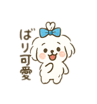 ちょんまげマルチーズ♡博多生まれ（個別スタンプ：6）
