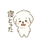 ちょんまげマルチーズ♡博多生まれ（個別スタンプ：10）