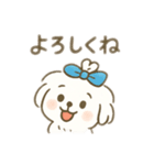 ちょんまげマルチーズ♡博多生まれ（個別スタンプ：17）