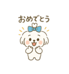 ちょんまげマルチーズ♡博多生まれ（個別スタンプ：20）