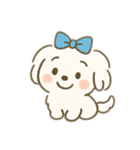 ちょんまげマルチーズ♡博多生まれ（個別スタンプ：23）