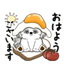 飛び出すB＆Wシーズー犬 「よく使う言葉」（個別スタンプ：1）