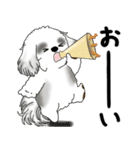 飛び出すB＆Wシーズー犬 「よく使う言葉」（個別スタンプ：2）