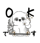 飛び出すB＆Wシーズー犬 「よく使う言葉」（個別スタンプ：3）