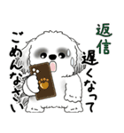飛び出すB＆Wシーズー犬 「よく使う言葉」（個別スタンプ：6）