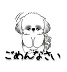 飛び出すB＆Wシーズー犬 「よく使う言葉」（個別スタンプ：7）
