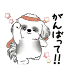 飛び出すB＆Wシーズー犬 「よく使う言葉」（個別スタンプ：11）