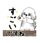 飛び出すB＆Wシーズー犬 「よく使う言葉」（個別スタンプ：12）