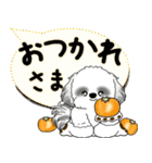 飛び出すB＆Wシーズー犬 「よく使う言葉」（個別スタンプ：13）