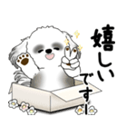 飛び出すB＆Wシーズー犬 「よく使う言葉」（個別スタンプ：14）