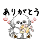 飛び出すB＆Wシーズー犬 「よく使う言葉」（個別スタンプ：15）