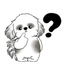 飛び出すB＆Wシーズー犬 「よく使う言葉」（個別スタンプ：18）