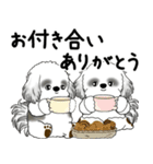 飛び出すB＆Wシーズー犬 「よく使う言葉」（個別スタンプ：19）