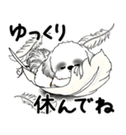 飛び出すB＆Wシーズー犬 「よく使う言葉」（個別スタンプ：20）