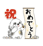 飛び出すB＆Wシーズー犬 「よく使う言葉」（個別スタンプ：21）