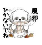 飛び出すB＆Wシーズー犬 「よく使う言葉」（個別スタンプ：22）