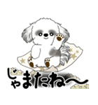 飛び出すB＆Wシーズー犬 「よく使う言葉」（個別スタンプ：23）
