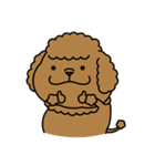 かわいい トイプーさん（個別スタンプ：2）