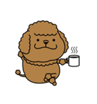 かわいい トイプーさん（個別スタンプ：33）