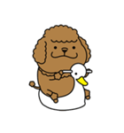かわいい トイプーさん（個別スタンプ：38）