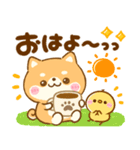 豆柴日和♡かわいい柴犬（個別スタンプ：1）