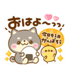 豆柴日和♡かわいい柴犬（個別スタンプ：3）