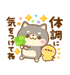 豆柴日和♡かわいい柴犬（個別スタンプ：7）