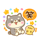 豆柴日和♡かわいい柴犬（個別スタンプ：11）