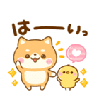 豆柴日和♡かわいい柴犬（個別スタンプ：12）