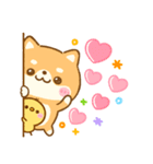 豆柴日和♡かわいい柴犬（個別スタンプ：20）