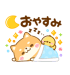 豆柴日和♡かわいい柴犬（個別スタンプ：24）