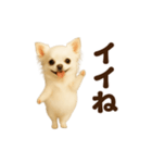踊る♡チワワ（個別スタンプ：4）