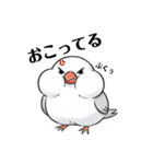 文鳥のスタイル（個別スタンプ：1）