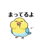 文鳥のスタイル（個別スタンプ：2）